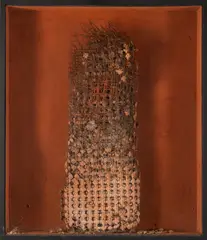 Juhani Harri, Untitled