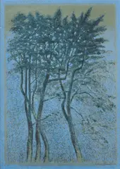 Kimmo Kaivanto, Yön dekoraatio (Nights decoration), serigraph