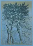 Kimmo Kaivanto, Yön dekoraatio (Nights decoration), serigraph