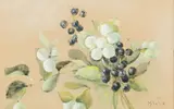 Maria Wiik, Berries, gouache