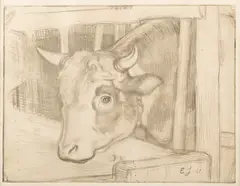 Eero Järnefelt, Cow, etching