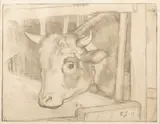 Eero Järnefelt, Cow, etching