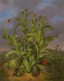 Georg Seitz, Still Life with Thistles, Poppies and Butterflies, oil on canvas; framed