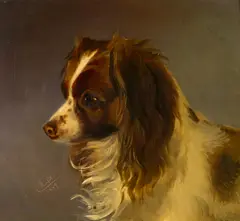 Matthias Ranftl, Portait of a Dog, 1849, oil on panel; framed