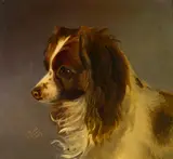 Matthias Ranftl, Portait of a Dog, 1849, oil on panel; framed