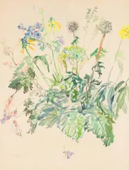 Oskar Kokoschka, Wildflowers, 1945, watercolour on paper; framed