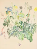 Oskar Kokoschka, Wildflowers, 1945, watercolour on paper; framed