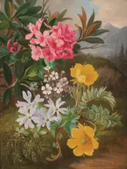 Josef Schuster, Alpine Rose, Starflower, Dwarf Primrose, and Creeping Carnation, oil on cardboard; framed