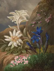 Josef Schuster, Edelweiss, Catchfly, Heather, and Gentian, oil on cardboard; framed