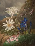 Josef Schuster, Edelweiss, Catchfly, Heather, and Gentian, oil on cardboard; framed
