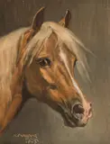 Alexander Pock, Horse with White Blaze, 1943, oil on cardboard; framed