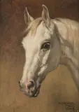 Alexander Pock, Head of a Grey Horse, 1943, oil on cardboard; framed