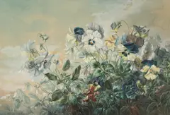 Paula Wildhack, Pansies, 1893, watercolour on paper; framed