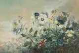 Paula Wildhack, Pansies, 1893, watercolour on paper; framed