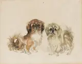 Pekingese (Muxi and Söter) by Ludwig Heinrich Jungnickel, mixed media on paper; framed, sold Dec 2025