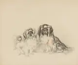 Two Pekingese dogs by Ludwig Heinrich Jungnickel, mixed media on paper; framed, sold Dec 2025