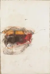 Martha Jungwirth, Untitled, 2009, watercolour on laid paper on canvas; unframed