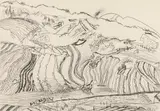 Karl Anton Fleck, Bei Baden