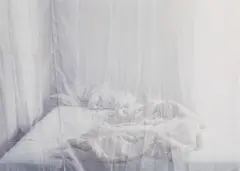 Andrea Witzmann, Untitled, 2004, alu-dibond