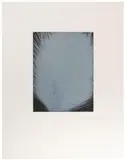 Arnulf Rainer, Eisstrauch, edition of 35
