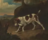 Johann Georg de Hamilton, The Hunting Dog of Adam Franz, Prince of Schwarzenberg (1680–1732), c. 1700, oil on canvas; framed