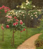 Hugo Charlemont, Rose Garden, oil on canvas; framed