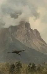 Friedrich Gauermann, Vulture in flight, oil on paper on canvas; framed