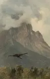 Friedrich Gauermann, Vulture in flight, oil on paper on canvas; framed