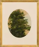 Friedrich Gauermann, Tree study, oil on paper on cardboard; framed