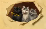 Sophie Sperlich, Three kittens, oil on panel; framed