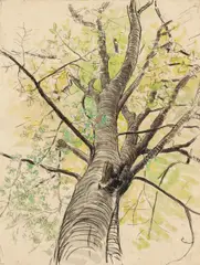 Josef Engelhart, Tree in the spring, mixed media on paper; framed