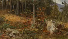 Johann Varrone, Bei Tanschach (forest study), 1885, oil on paper; framed