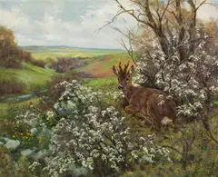 Erich Dichtl, Resting stag, oil on canvas; framed