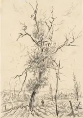 Tree by Rudolf Wacker, 1922, pencil on paper; framed, sold Jun 2025