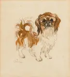 Pekingese by Ludwig Heinrich Jungnickel, watercolour on paper; framed, sold Jun 2025