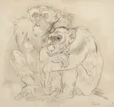 Two chimpanzees by Ludwig Heinrich Jungnickel, charcoal pencil, watercolour on paper; framed, sold Jun 2025