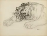 Reclining tiger by Ludwig Heinrich Jungnickel, charcoal pencil on paper; framed, sold Jun 2025