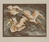 Norbertine Bresslern-Roth, Mixed lot: Two linocuts (Kahnschnäbel, Pelikane), linocuts on paper; unframed