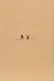 Roland Goeschl, Untitled, 1968/69, chalk on paper; framed