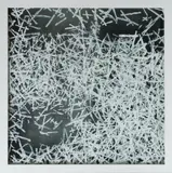 Wendelin Pressl, Untitled, 2004, oil on glass; framed