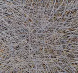 Elisabeth Pfanner, Untitled, 1999, oil on canvas; unframed