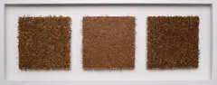 Wendelin Pressl, Nadelfelder - Tanne, Lärche, Fichte (3-part series), 2000, various tree needles on canvas; framed