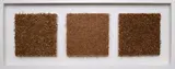 Wendelin Pressl, Nadelfelder - Tanne, Lärche, Fichte (3-part series), 2000, various tree needles on canvas; framed