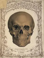 Anton Elfinger, Die Anatomie des Menschen mit dem Studium der Knochen, Muskeln und Bänder in 27 lithographierten Tafeln, Vienna, Reiffenstein & Rösch, II. edition (without date)