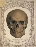 Anton Elfinger, Die Anatomie des Menschen mit dem Studium der Knochen, Muskeln und Bänder in 27 lithographierten Tafeln, Vienna, Reiffenstein & Rösch, II. edition (without date)