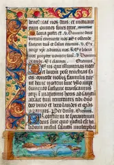 Nogaro Castagnon, Leaf from a book of hours with animal illustrations on both sides: Fox chasing a bird (recto) and bird chasing an insect (verso), c. 1500-1510, ink, tempera and gold on vellum; unframed
