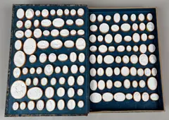 Philipp Daniel Lippert et al., Dactyliotheque (552 plaster casts), probably 18th century