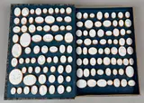 Philipp Daniel Lippert et al., Dactyliotheque (552 plaster casts), probably 18th century