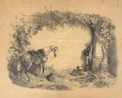 Franz Adam, Erinnerungen an die Feldzüge der K. K. Oesterr. Armee in Italien in den Jahren 1848-49. In Handzeichnungen nach der Natur, lithogr. u. herausgegeben von den Brüdern Adam in München