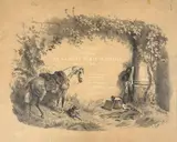 Franz Adam, Erinnerungen an die Feldzüge der K. K. Oesterr. Armee in Italien in den Jahren 1848-49. In Handzeichnungen nach der Natur, lithogr. u. herausgegeben von den Brüdern Adam in München